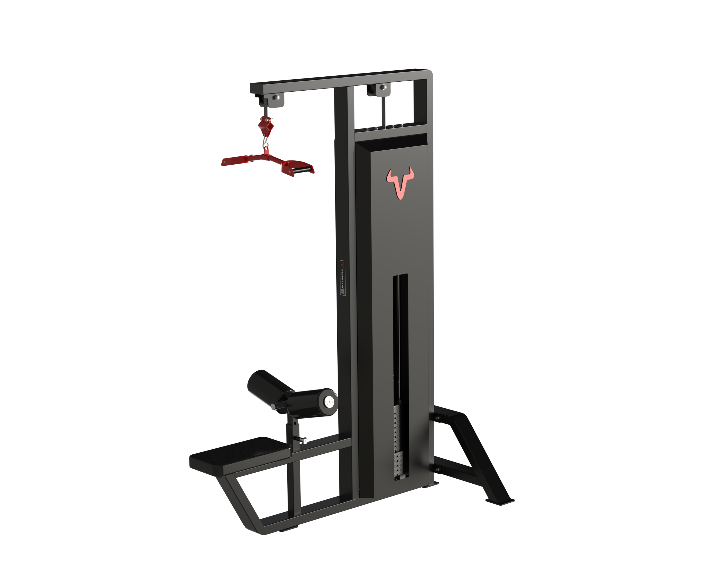 PUXADA ALTA 100KG